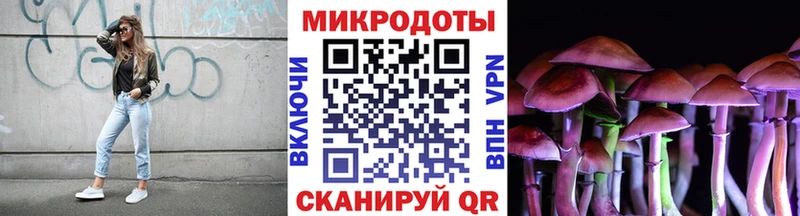 Галлюциногенные грибы GOLDEN TEACHER  Купить  Анива 